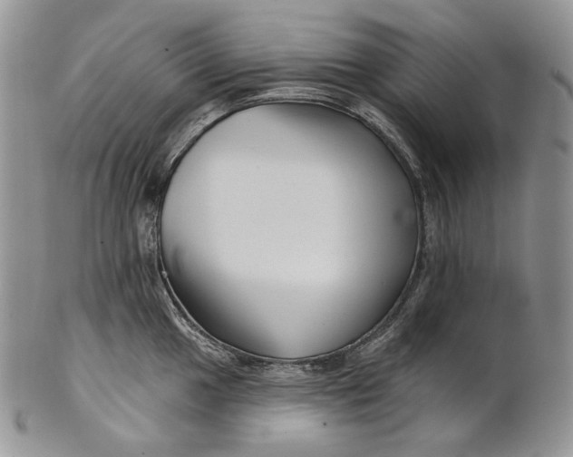 X0000100781049200807101811