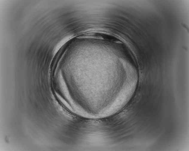 X0000100781050200807101811