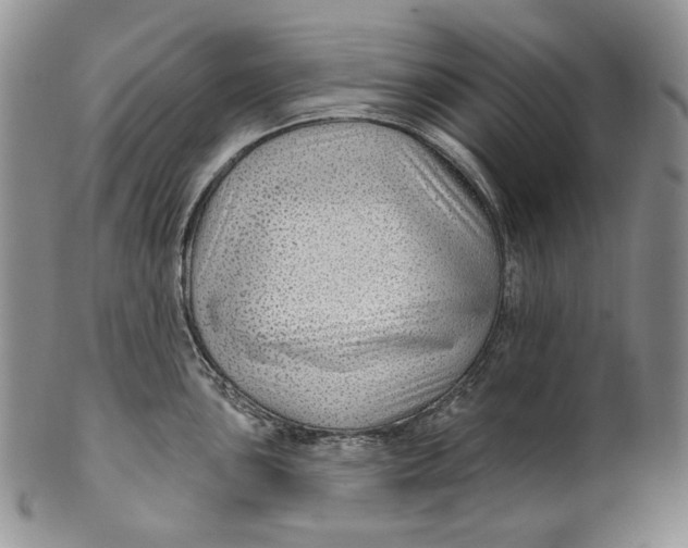 X0000100781051200807101811