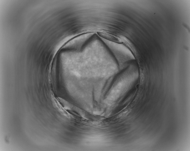 X0000100781052200807101812