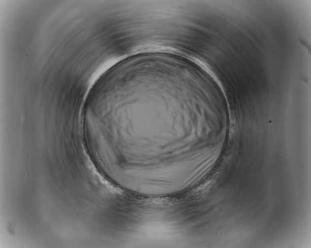 X0000100781053200807101812