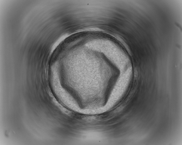 X0000100781054200807101812