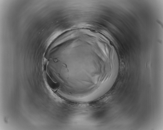 X0000100781055200807101812