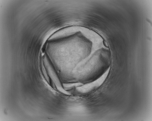 X0000100781056200807101812