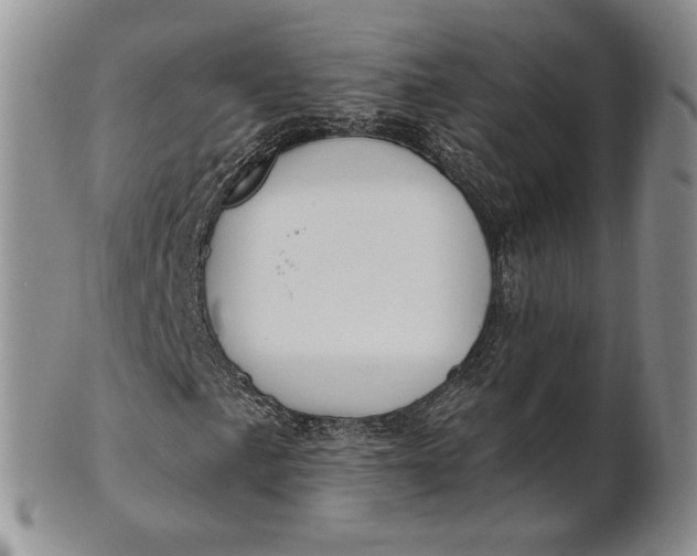 X0000100781057200807101811