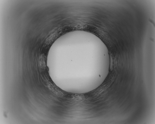 X0000100781058200807101811