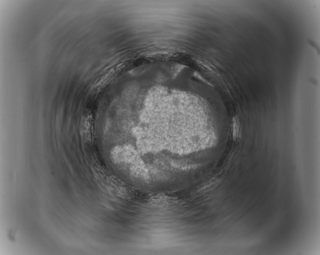 X0000100781059200807101811