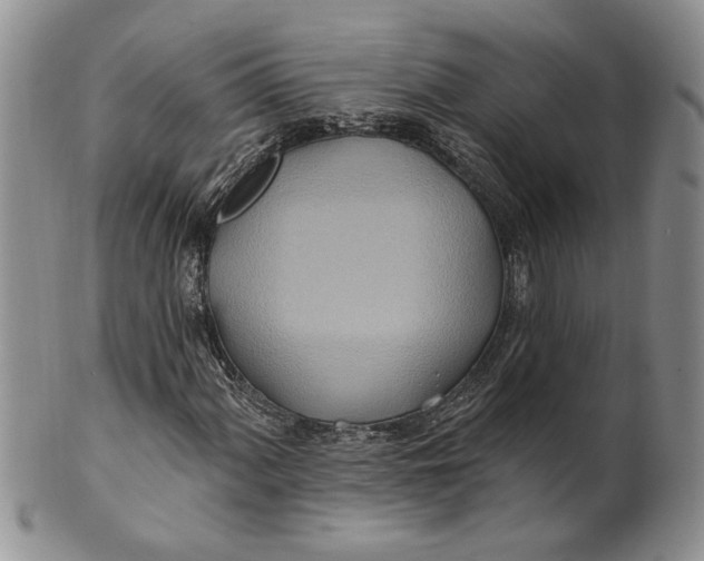 X0000100781060200807101811