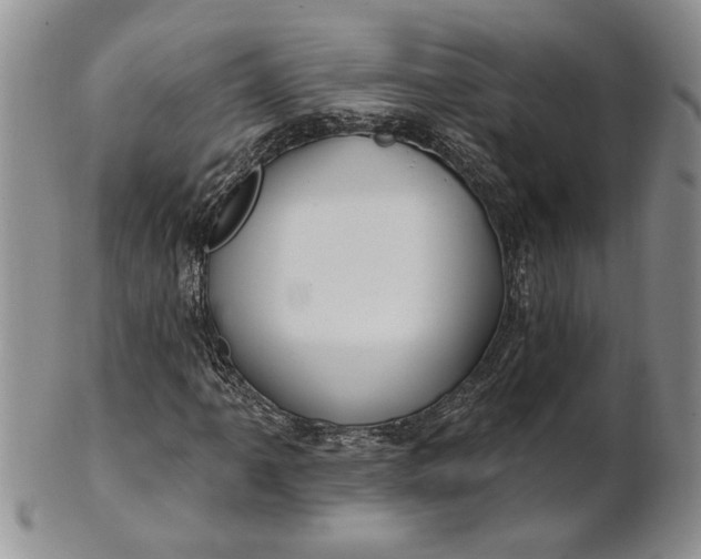 X0000100781061200807101811