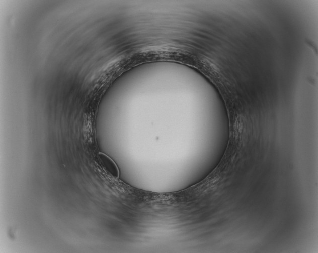 X0000100781062200807101811