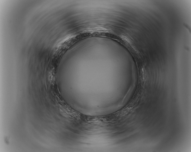 X0000100781063200807101811