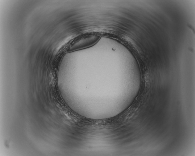 X0000100781064200807101811