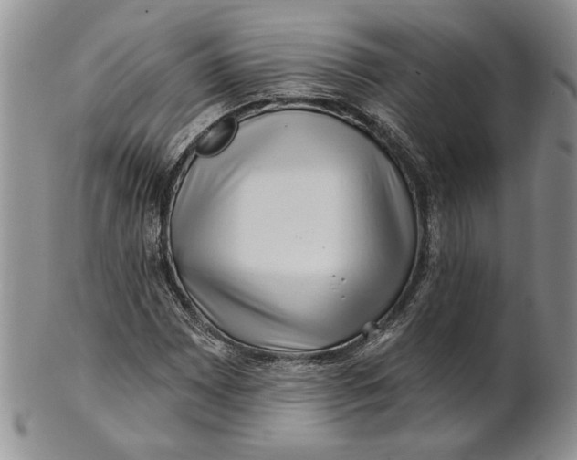 X0000100781065200807101811