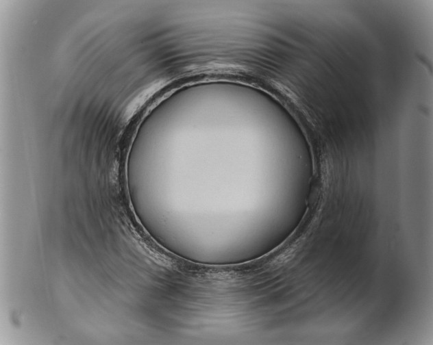 X0000100781066200807101811