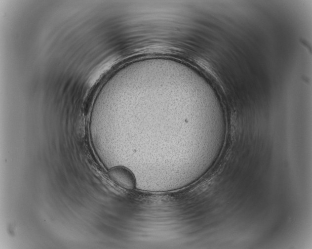 X0000100781067200807101811