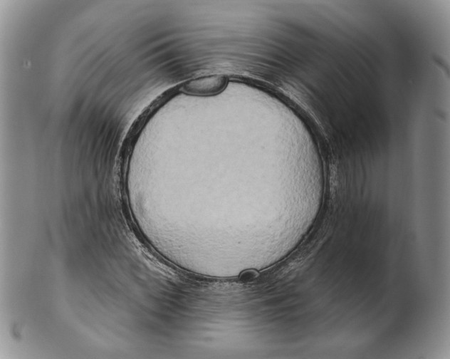 X0000100781068200807101810