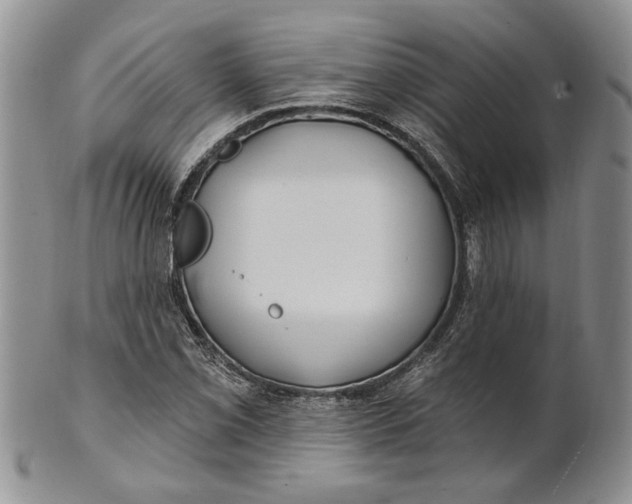 X0000100781069200807101810