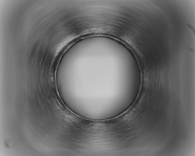 X0000100781070200807101810