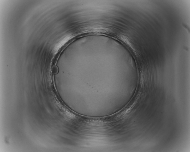 X0000100781071200807101810