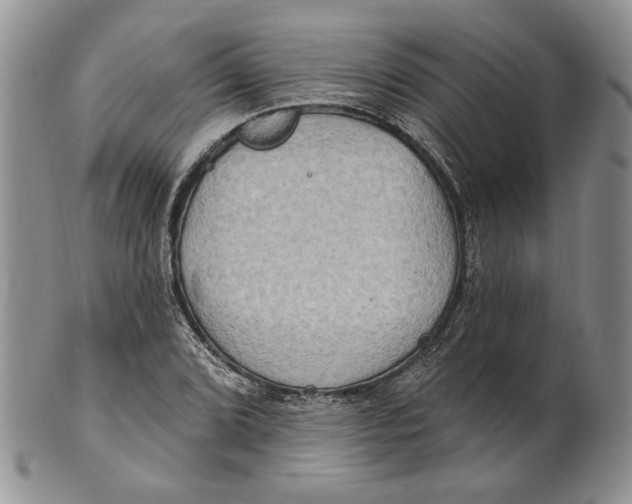 X0000100781072200807101810