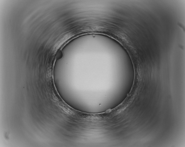 X0000100781073200807101810