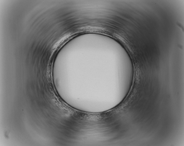 X0000100781074200807101810