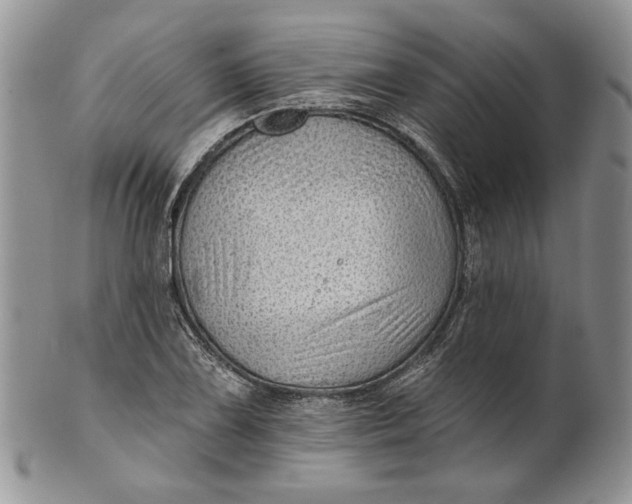 X0000100781075200807101810