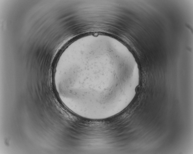 X0000100781076200807101810