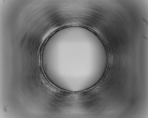 X0000100781078200807101810