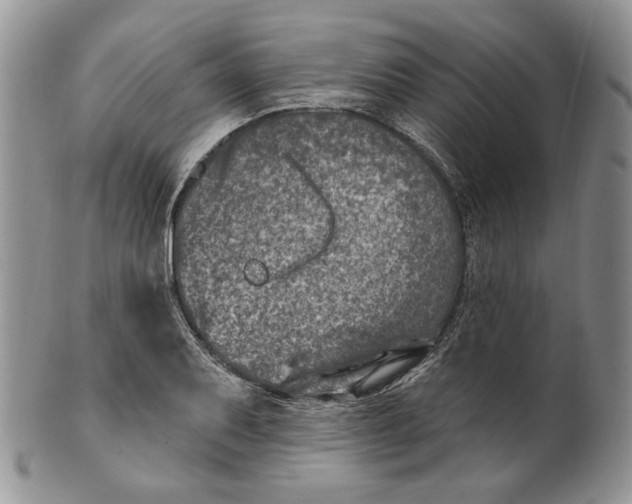 X0000100781079200807101810