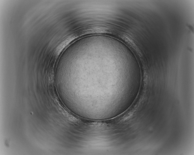 X0000100781081200807101810