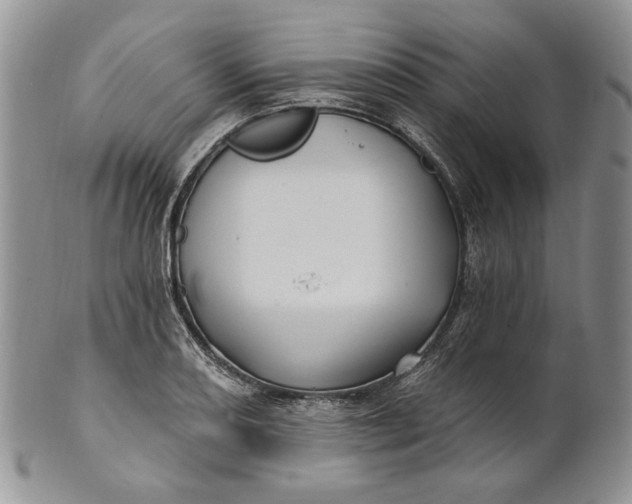 X0000100781082200807101810