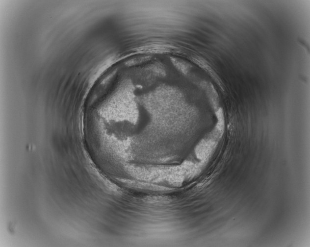 X0000100781083200807101810