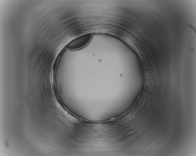 X0000100781084200807101810