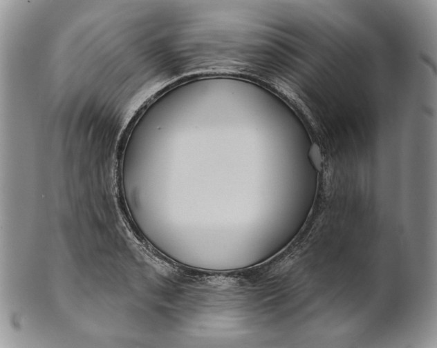 X0000100781085200807101810