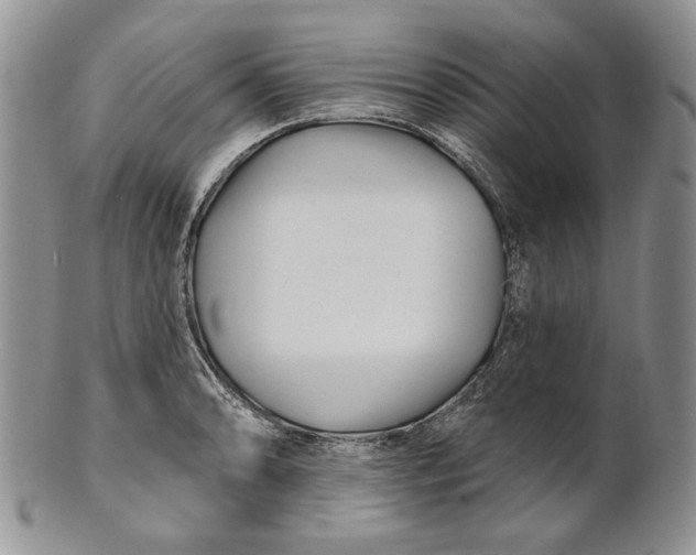 X0000100781086200807101810