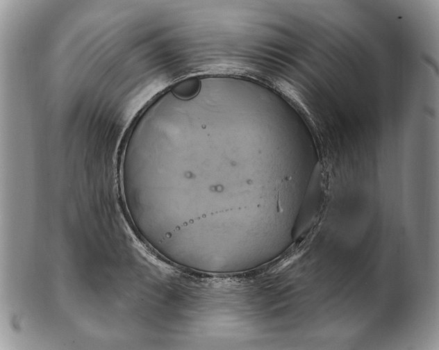 X0000100781087200807101810