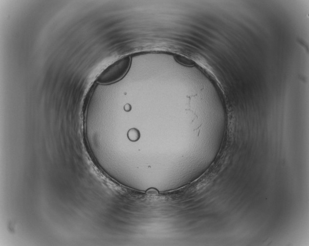 X0000100781088200807101810