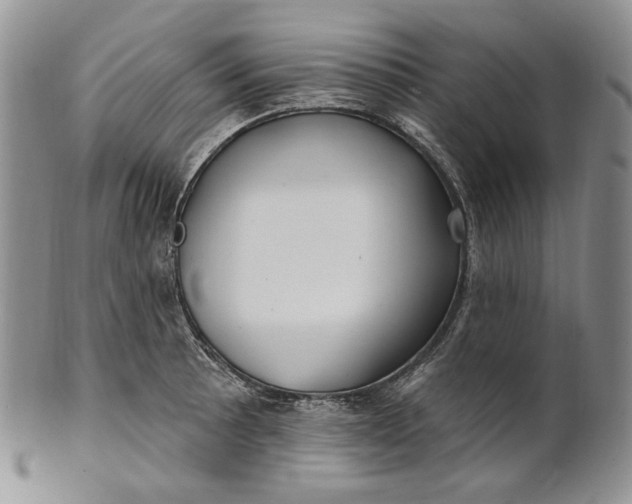 X0000100781089200807101810