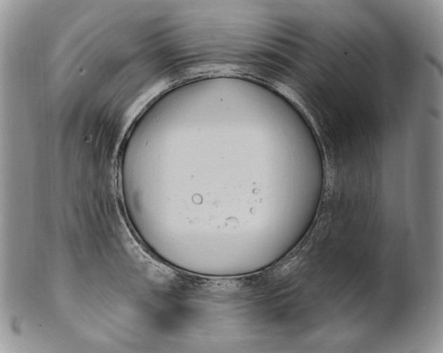 X0000100781090200807101810