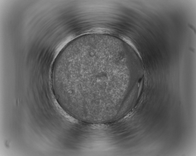 X0000100781091200807101810