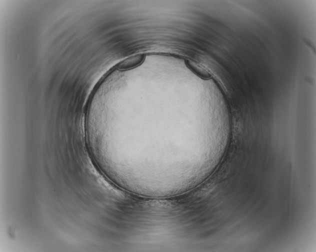 X0000100781092200807101810