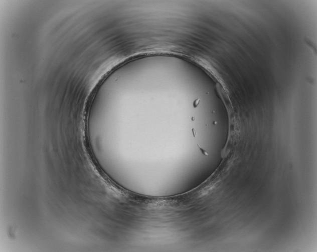 X0000100781093200807101810