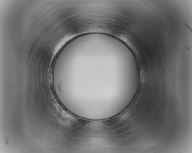 X0000100781094200807101810