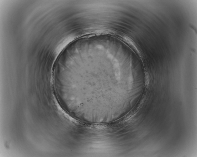 X0000100781095200807101810