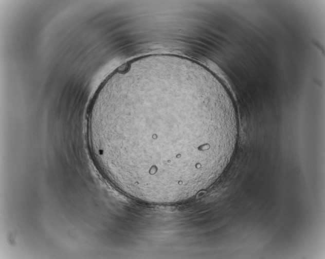 X0000100781096200807101810