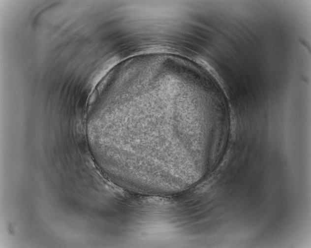 X0000100781097200807101810