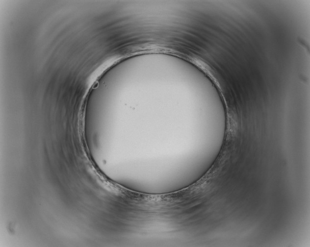 X0000100781098200807101810