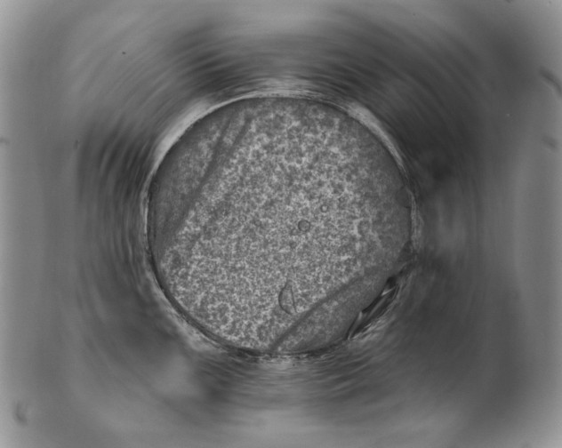 X0000100781099200807101810