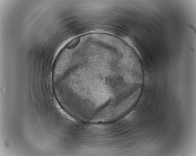 X0000100781100200807101810